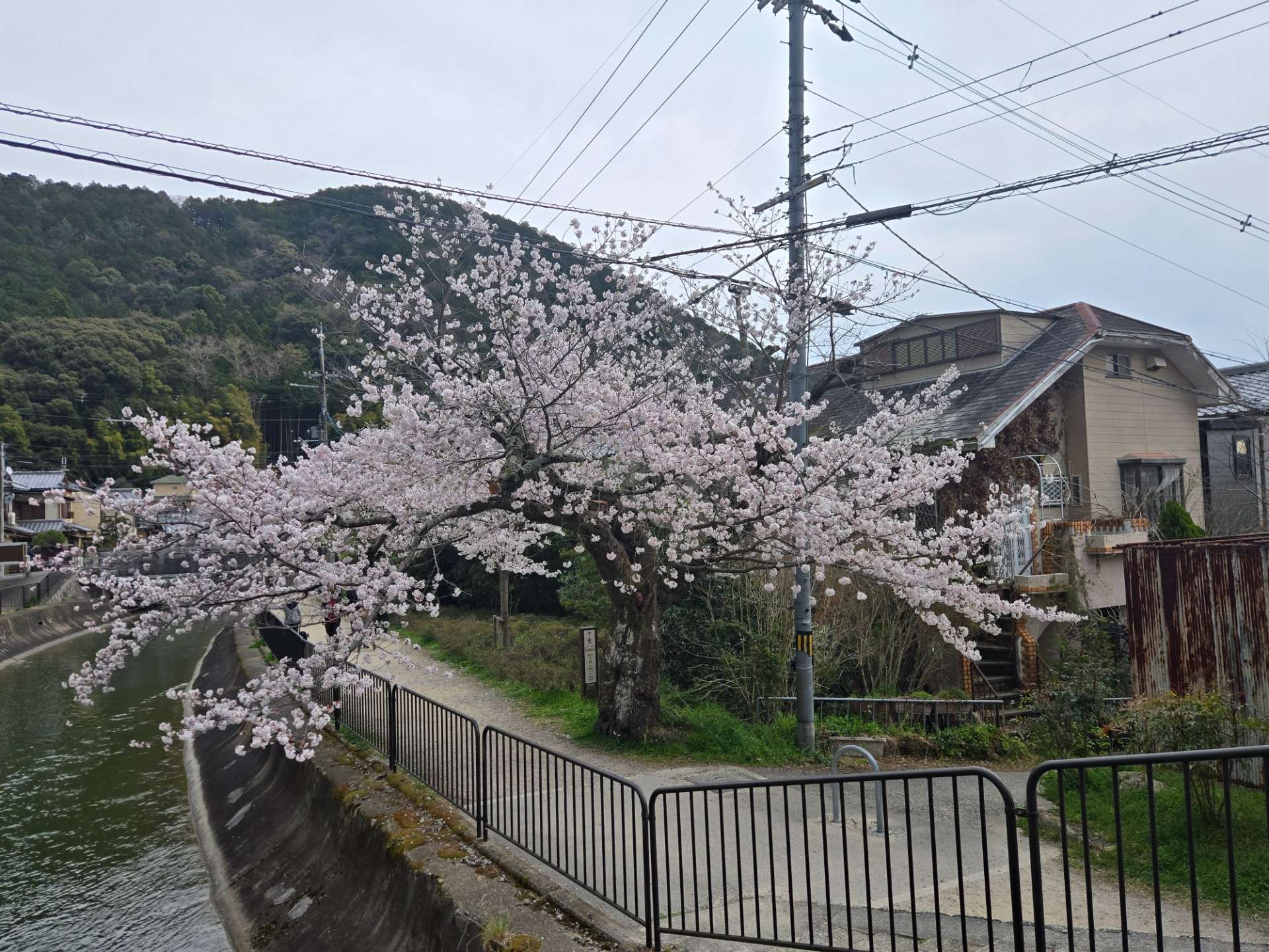 京都府　山科区安朱馬場ノ西町