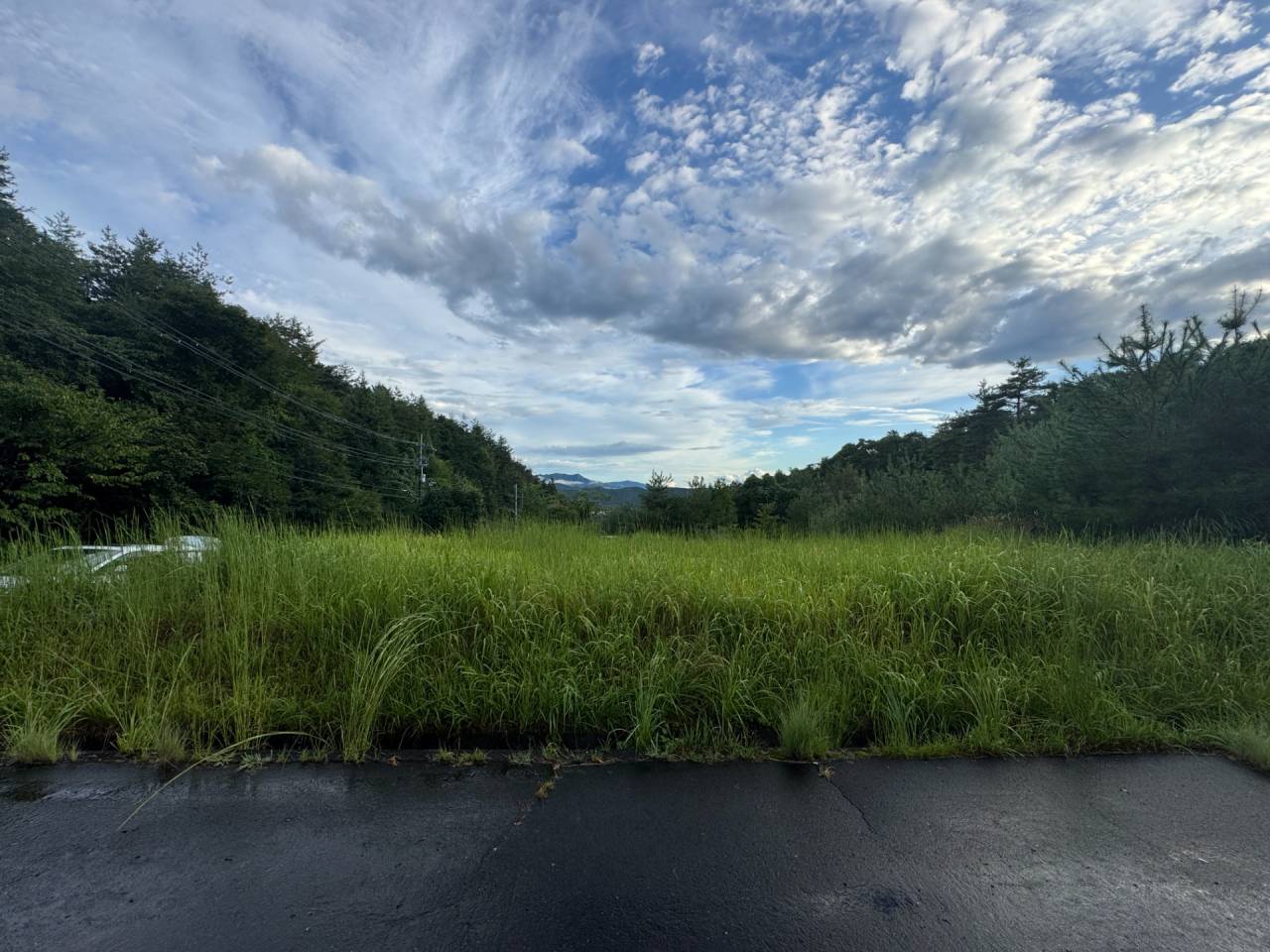滋賀県　甲賀市土山町野上野