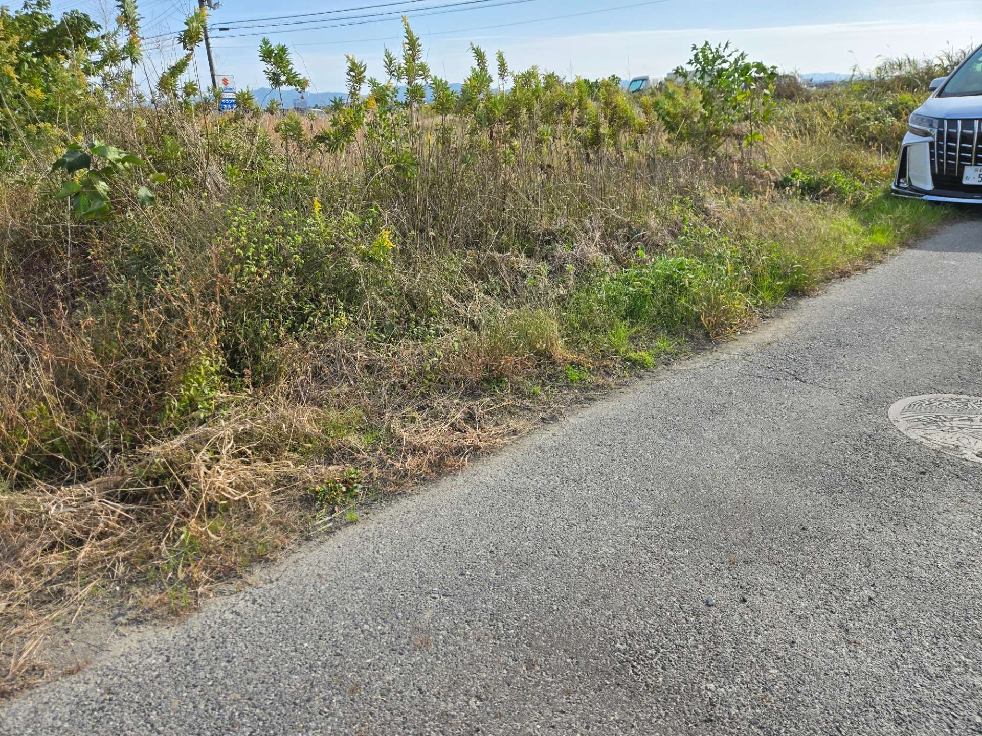 滋賀県　守山市矢島町