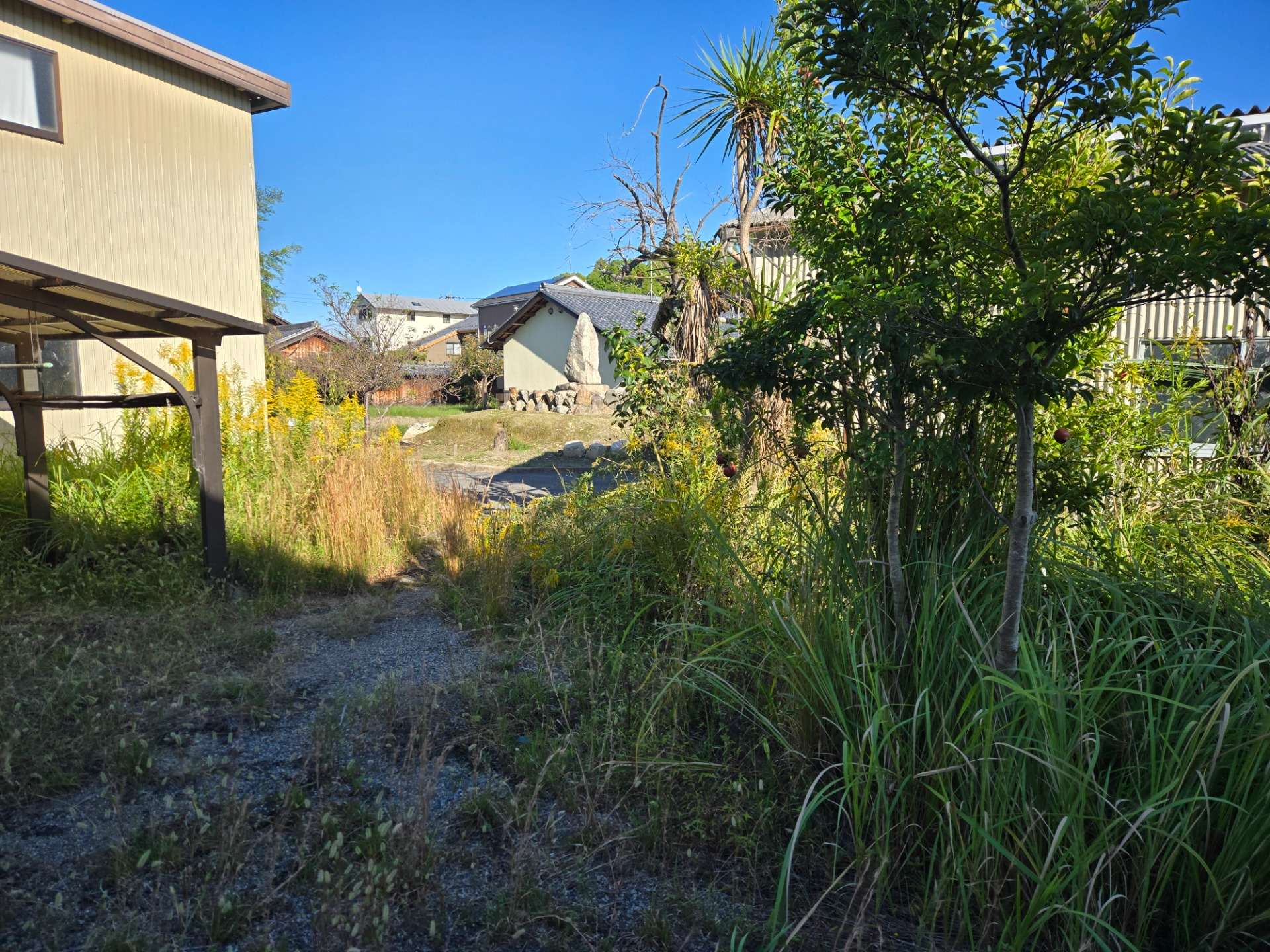 滋賀県　野洲市八夫