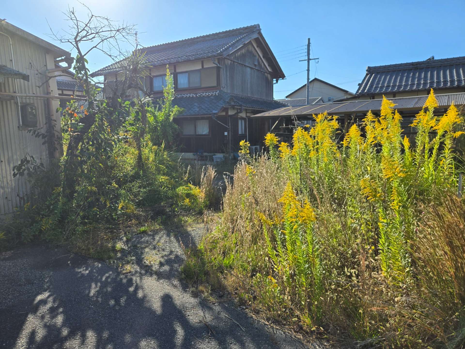 滋賀県　野洲市八夫
