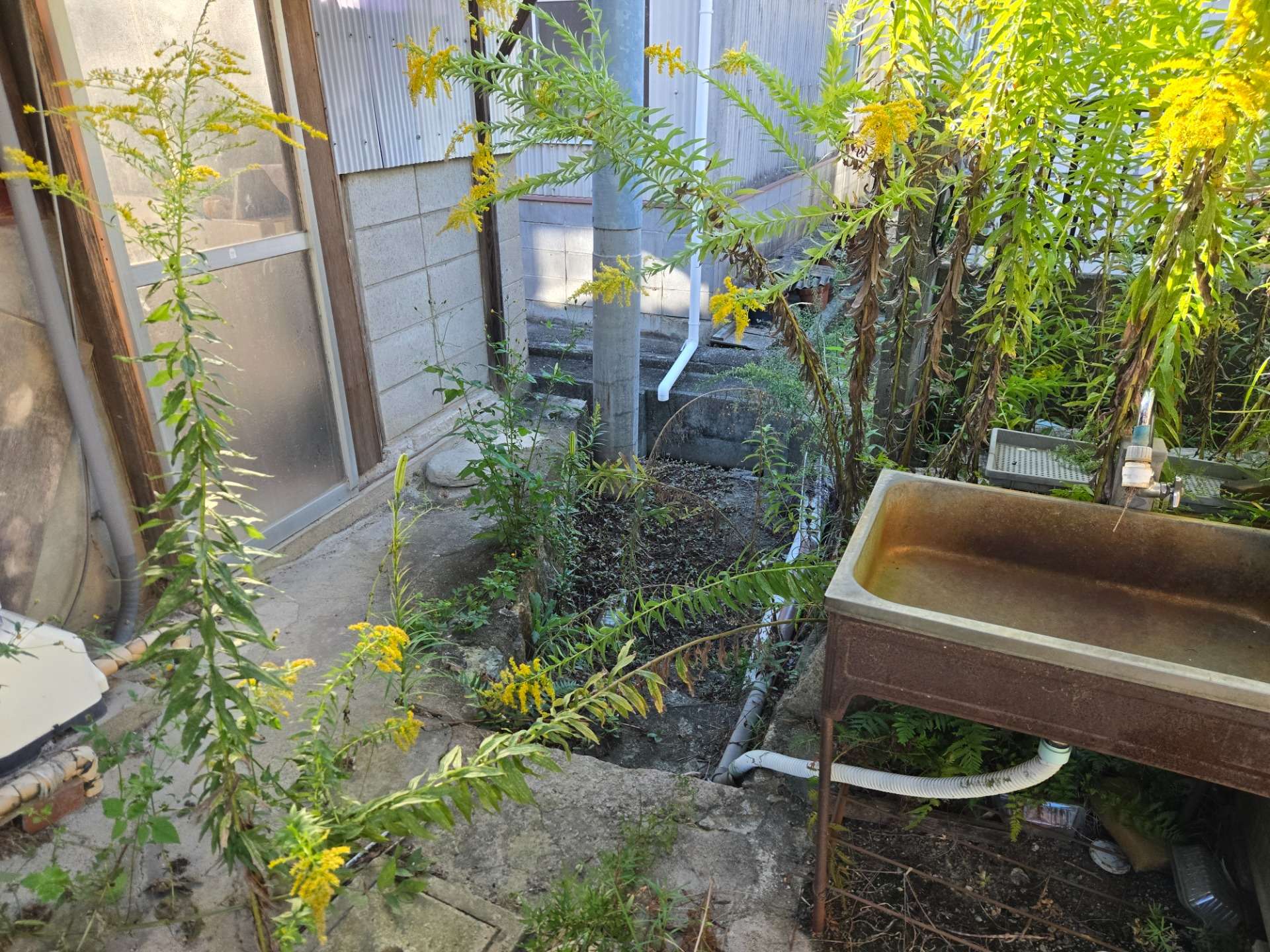 滋賀県　野洲市八夫