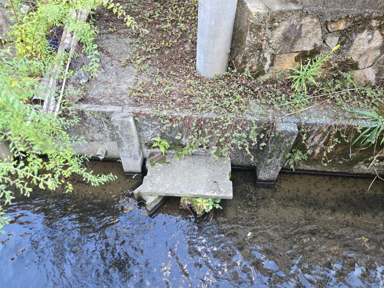 滋賀県　野洲市八夫