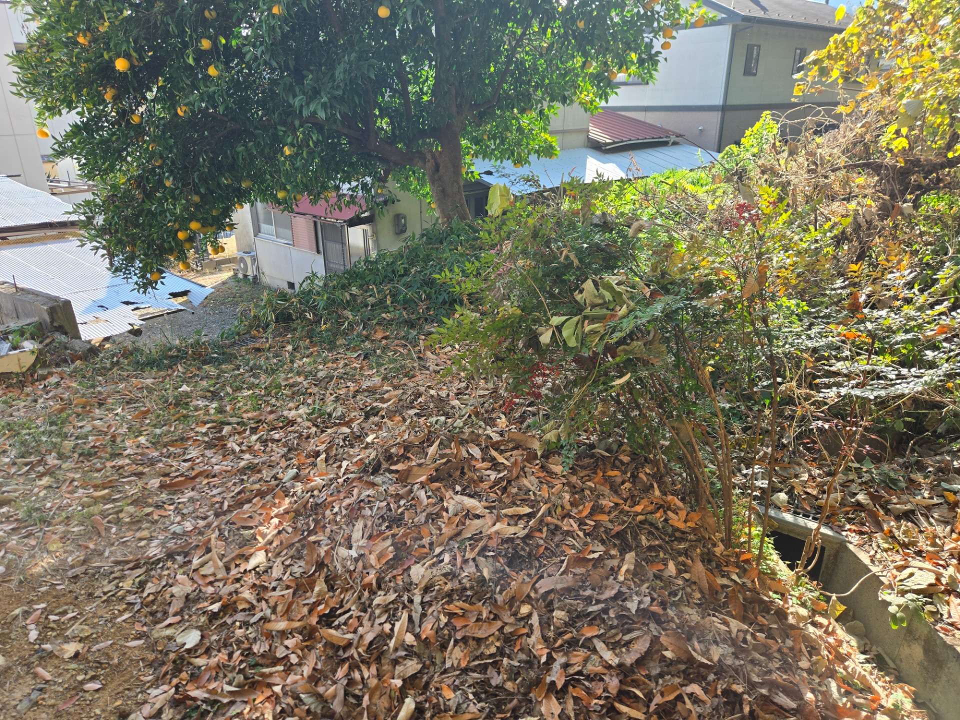 滋賀県　大津市湖城が丘