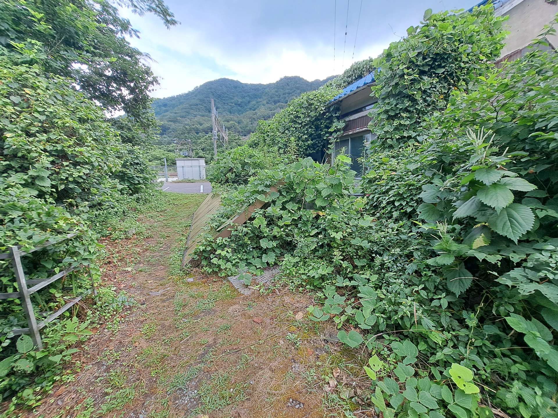 福井県　敦賀市