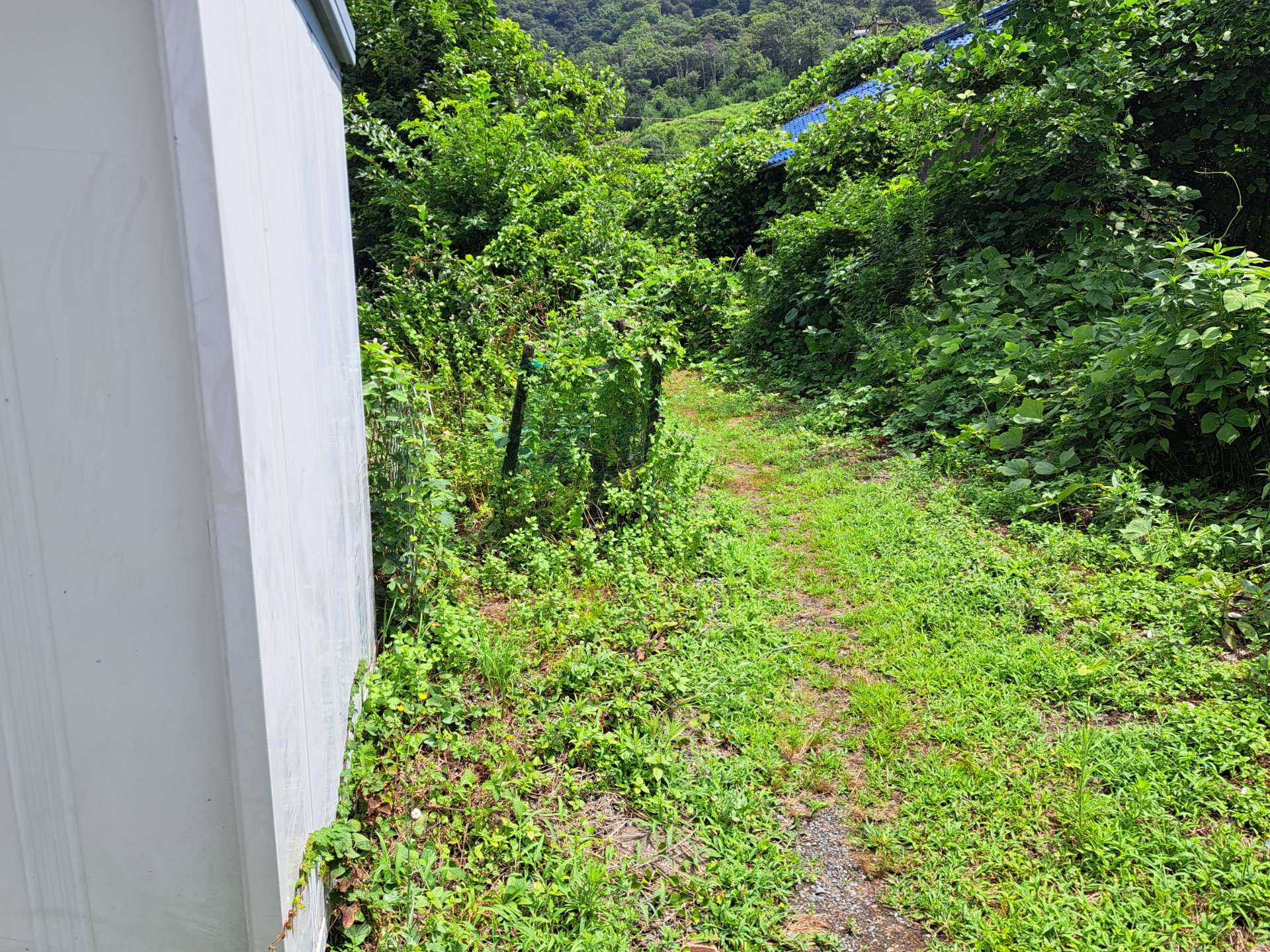 福井県　敦賀市